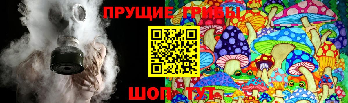 Анжеро-Судженск  Псилоцибиновые грибы MAGIC MUSHROOMS  Псилоцибиновые грибы мухоморы  Вход с VPN 